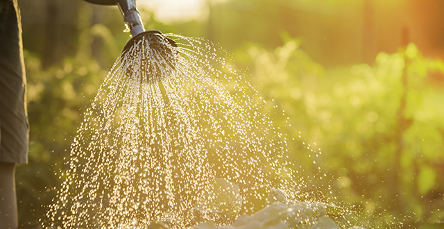 Dispositivo Per Innaffiare Piante Sospese 2 Litri Con Tracolla E Due Ugelli - Irrigatore Portatile Per Interni E Giardino