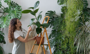 segreti di un designer per un piccolo giardino